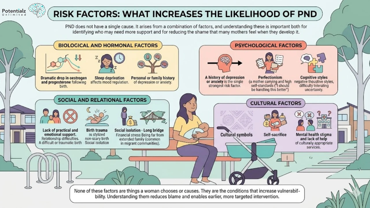 Illustrative guide highlighting various factors that increase the likelihood of postnatal depression (PND), including biological, hormonal, psychological, social, relational, and cultural influences, underscoring the importance of understanding these elements for support and intervention.